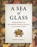 Cover: A Sea of Glass - University of California Press