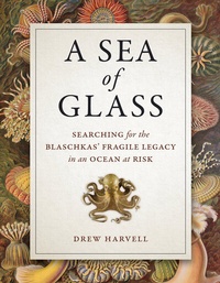 Abbildung von: A Sea of Glass - University of California Press