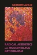 Cover: Radical Aesthetics and Modern Black Nationalism - University of Illinois Press