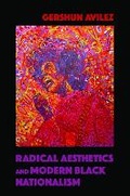 Cover: Radical Aesthetics and Modern Black Nationalism - University of Illinois Press
