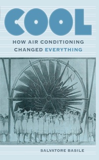 Enlarge image Cover: Cool - Fordham University Press