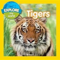 Enlarge image Cover: Explore My World Tigers - National Geographic Books