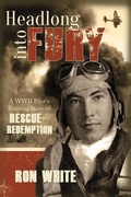 Cover: Headlong Into Fury - Plain Sight Publishing