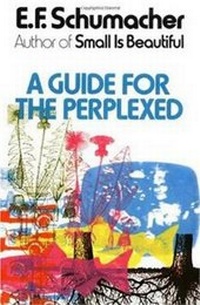 Enlarge image Cover: A Guide for the Perplexed - Harper Business