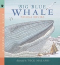 Cover: Big Blue Whale - Candlewick Press,U.S.