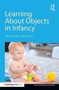 Enlarge image Cover: Learning About Objects in Infancy - Routledge