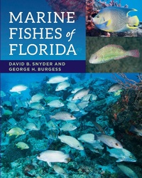 Abbildung von: Marine Fishes of Florida - Johns Hopkins University Press