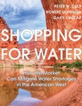 Cover: Shopping for Water - The American University in Cairo Press