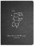 Cover: Hofmanns Elixier - Reiffer, A