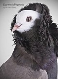 Cover: Darwin's Pigeons - BH Editions