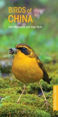 Enlarge image Cover: Birds of China - Bloomsbury Natural History