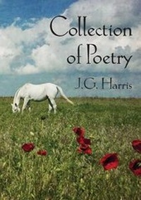 Enlarge image Cover: Collection of Poetry - Spiderwize