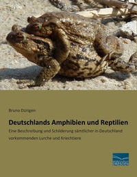 Abbildung von: Deutschlands Amphibien und Reptilien - Fachbuchverlag-Dresden
