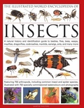 Cover: The Illustrated World Encyclopaedia of Insects - Lorenz Books