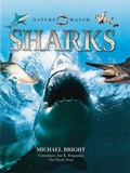 Cover: Sharks - Lorenz Books