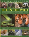Cover: Animal Kingdom - Lorenz Books