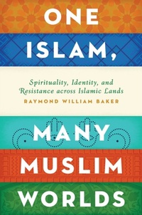 Abbildung von: One Islam, Many Muslim Worlds - OUP eBook