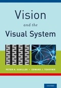 Bild: Vision and the Visual System - Oxford University Press