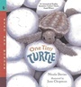 Cover: One Tiny Turtle - Candlewick Press,U.S.