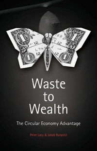 Enlarge image Cover: Waste to Wealth - Palgrave Macmillan