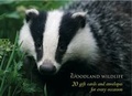 Cover: Woodland Wildlife Gift Card Pack - Lorenz Books
