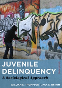Enlarge image Cover: Juvenile Delinquency - Rowman & Littlefield