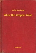 Cover: When the Sleepers Woke - Booklassic