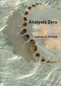 Enlarge image Cover: Analysis Zero - Lulu.com