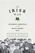 Cover: The Irish Way - The Penguin Press
