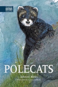 Enlarge image Cover: Polecats - Whittet Books Ltd