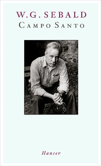 Enlarge image Cover: Campo Santo - Hanser