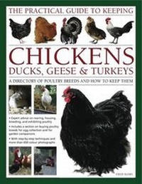 Abbildung von: Practical Guide to Keeping Chickens, Duck, Geese & Turkeys - Lorenz Books