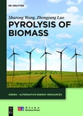 Cover: Pyrolysis of Biomass - De Gruyter