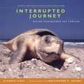 Cover: Interrupted Journey - Candlewick Press,U.S.