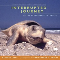 Enlarge image Cover: Interrupted Journey - Candlewick Press,U.S.