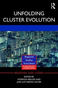 Enlarge image Cover: Unfolding Cluster Evolution - Routledge