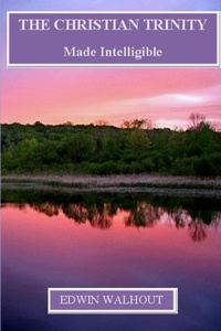 Enlarge image Cover: THE Christian Trinity - Lulu.com
