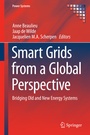 Cover: Smart Grids from a Global Perspective - Springer