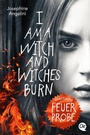 Cover: Everflame 1. Feuerprobe - Oetinger