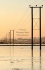 Cover: Victorian Telegraphy Before Nationalization - Palgrave Macmillan