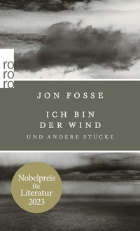 Abbildung von: Ich bin der Wind - Rowohlt Taschenbuch