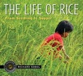 Cover: The Life of Rice - Candlewick Press,U.S.