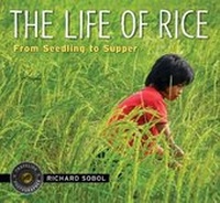 Enlarge image Cover: The Life of Rice - Candlewick Press,U.S.