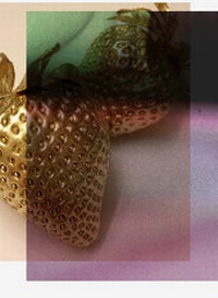 Enlarge image Cover: Paradise Paradoxe - Edition Patrick Frey