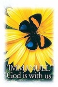 Cover: Butterfly and Flower Postcard (Package of 25) - Abingdon Press