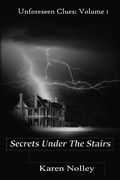 Cover: Secrets Under The Stairs - Island Entertainment Media