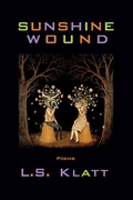 Cover: Sunshine Wound - Parlor Press, LLC
