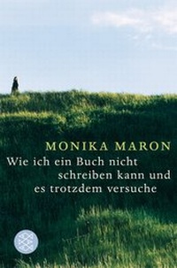 Abbildung von: Wie ich ein Buch nicht schreiben kann und es trotzdem versuche - Fischer Taschenbuch