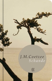 Abbildung von: Schande - Fischer Taschenbuch
