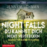 Abbildung von: Night Falls. Du kannst dich nicht verstecken - Hörbuch Hamburg